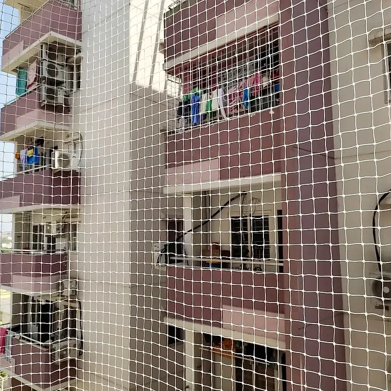 Pigeon Safety Nets installation in Mysuru, photo 2