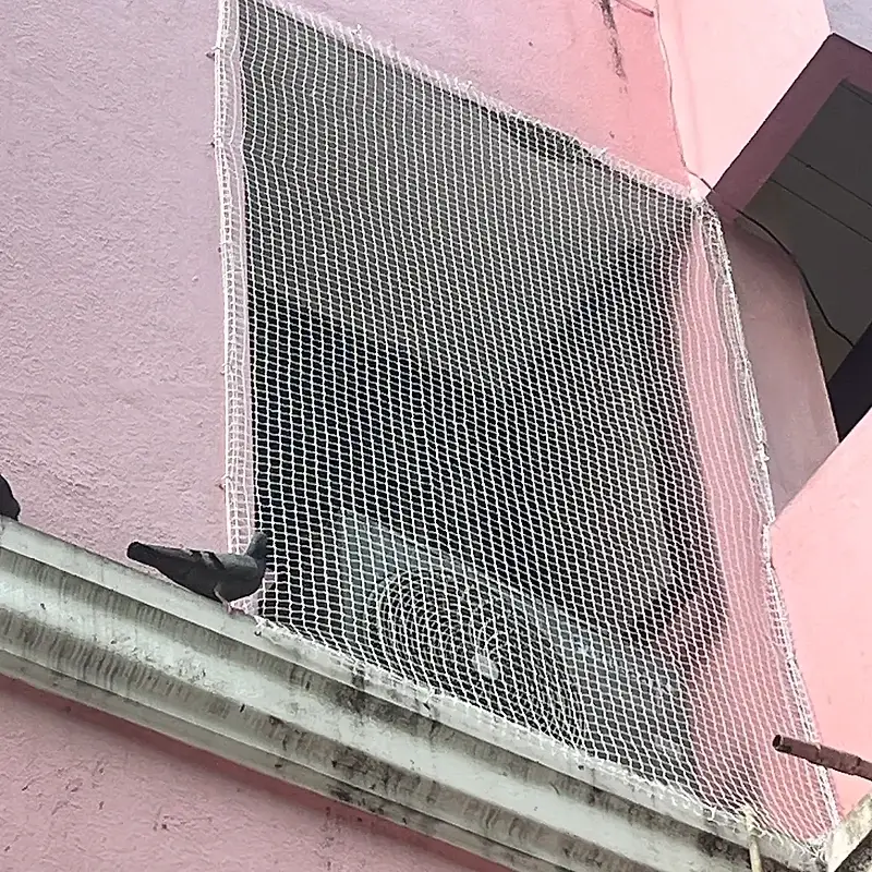 Pigeon Safety Nets installation in Mysuru, photo 3