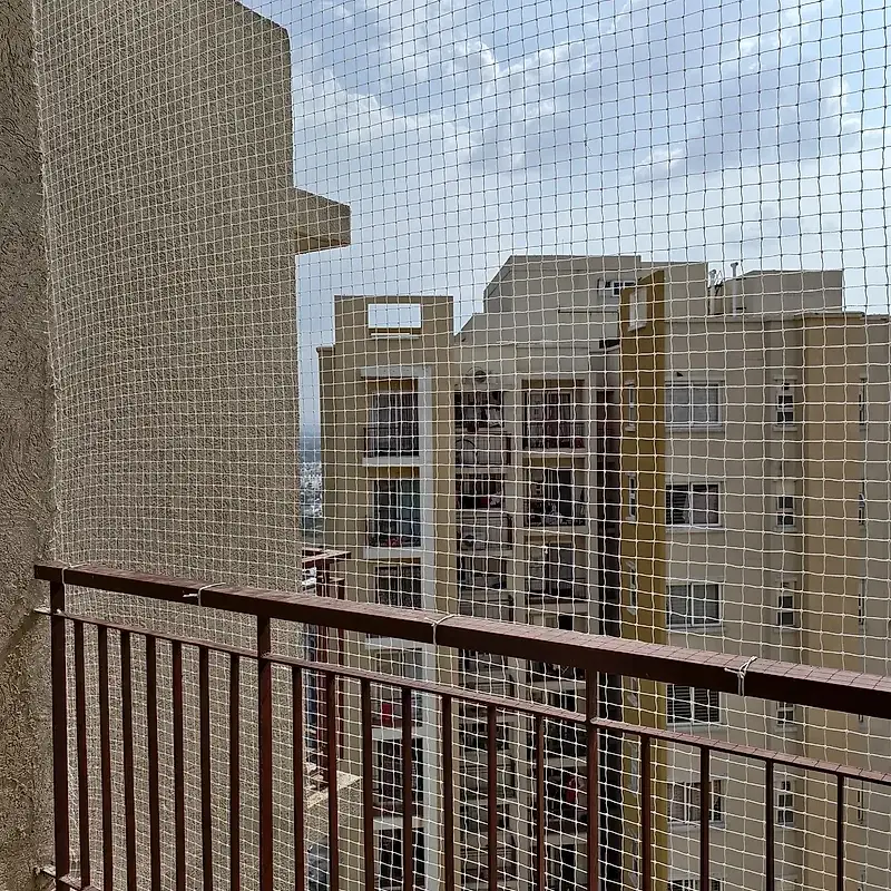 Pigeon net installation in Mysuru